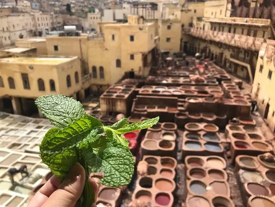 Tanneries Marrakech