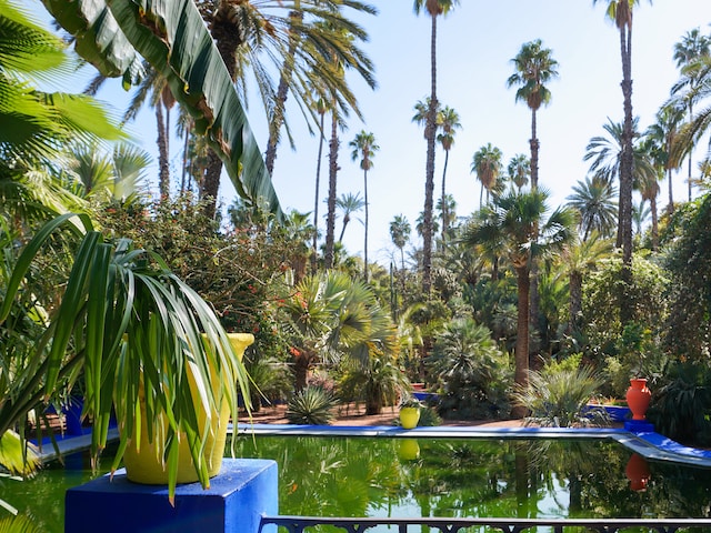 Végétation du Jardin Majorelle