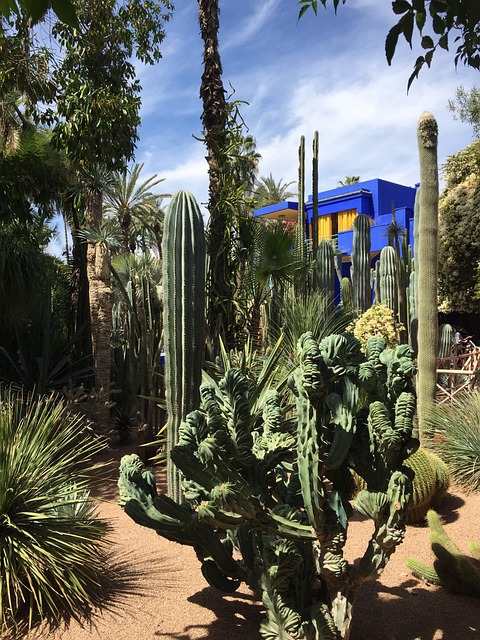 Vue du Jardin Majorelle