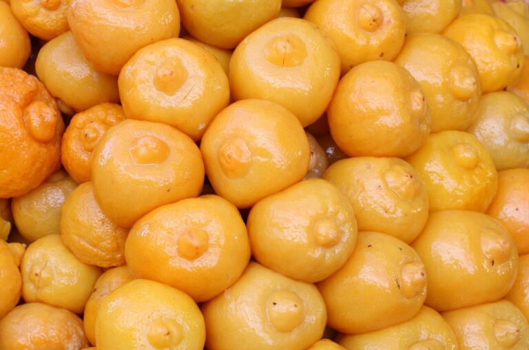 Citron Beldi confit