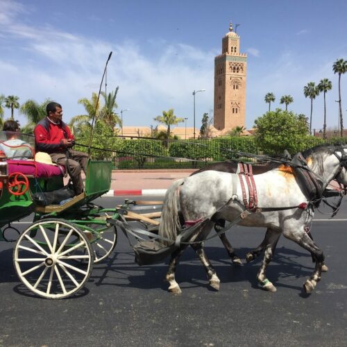 Se déplacer à Marrakech