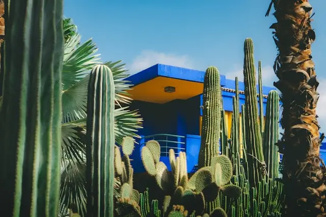 Jardin Majorelle Visite Marrakech